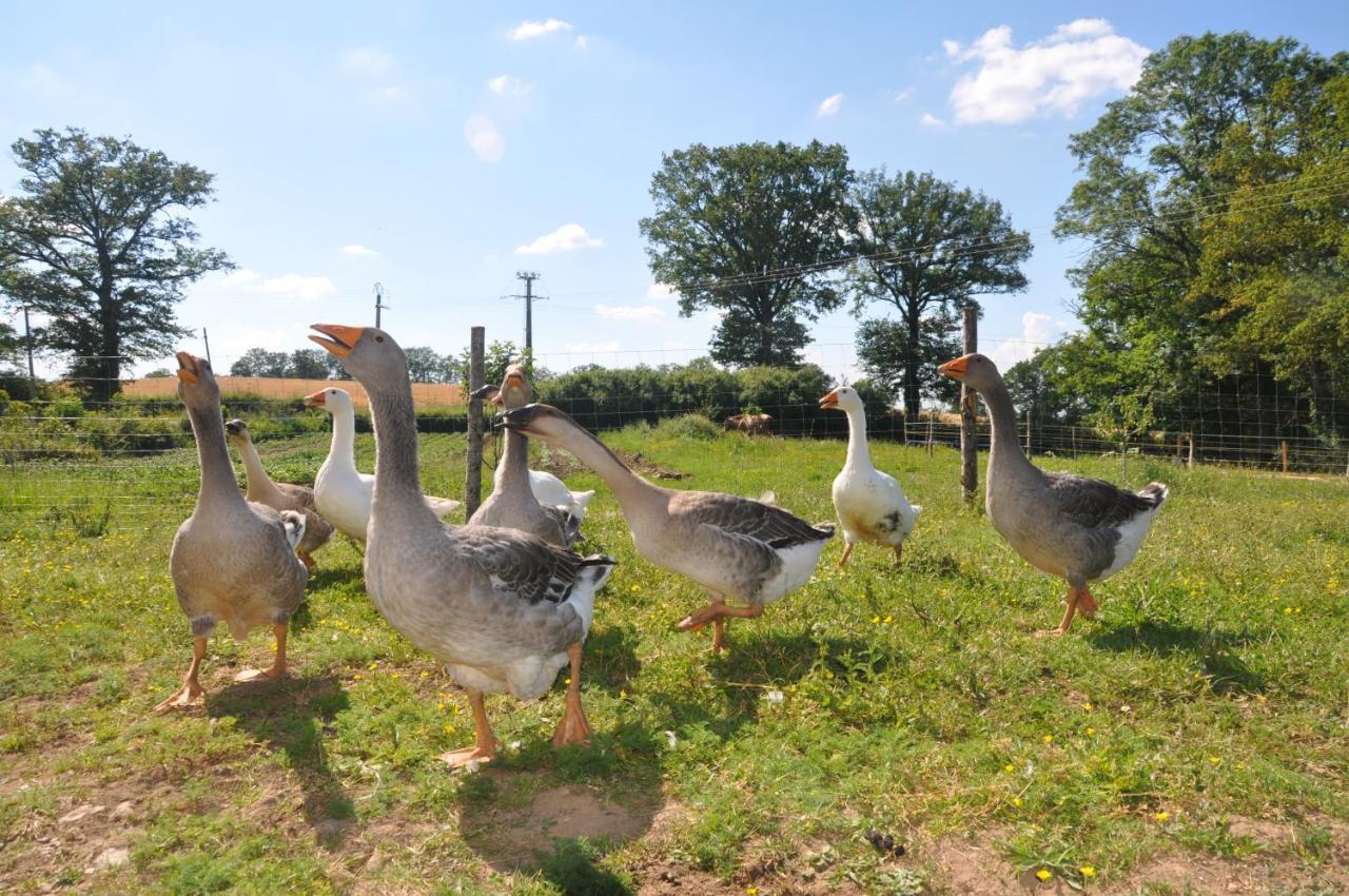 La Ferme Aux Cinq Sens Vila Bussiere-Boffy Exterior foto